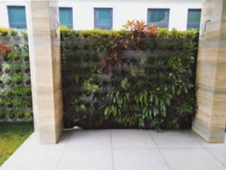 Green Walls