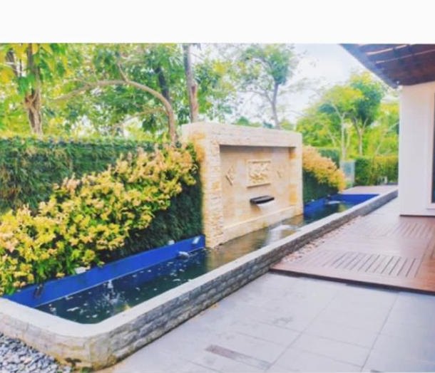 Water Features & Koi Ponds